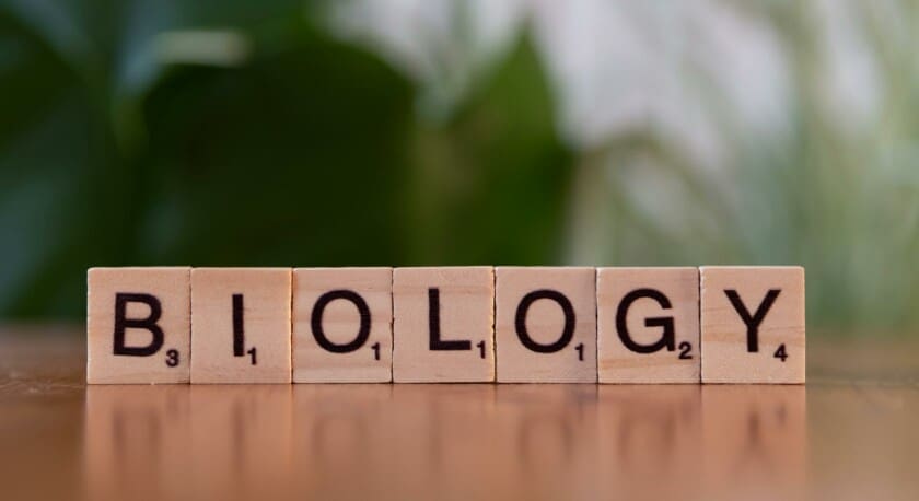 Wooden letter tiles spell out the word "BIOLOGY." The tiles are arranged in a straight line on a smooth surface, with the letters clearly visible. The background features soft, blurred greenery, adding a natural touch to the scene.