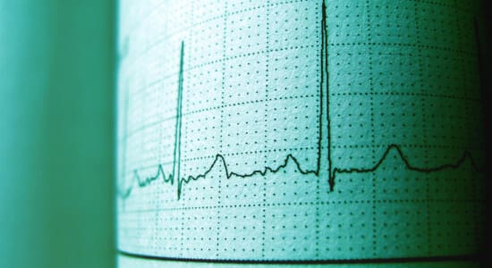 HRV Series #4: Boost HRV Naturally: 7 Lifestyle Shifts That Actually Work
