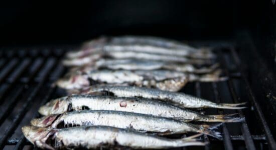 The Sardine Advantage: Why This Forgotten Superfood Supports Fat Burning, Hormones, and Brain Resilience
