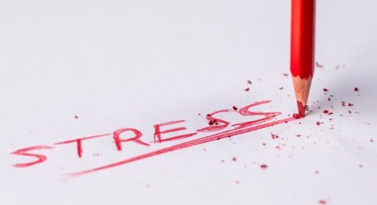 The Metabolic Cost of Feeling Unsafe: How Stress Biology Slows Fat Loss Even When You’re “On Plan”