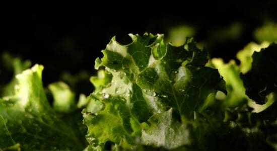 Do B Vitamins Really Boost Energy?