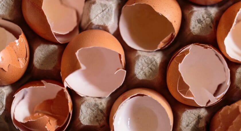 A close-up view of several eggshells, some cracked and partially broken, resting in an egg carton. The shells are primarily brown with some showing the inner white lining. The background features the textured surface of the carton, with visible indentations where the eggs sit.