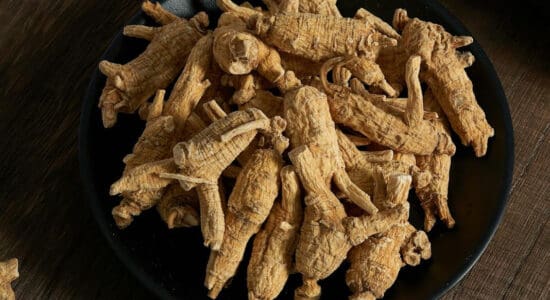 Adaptogens vs. Stimulants: Choosing the Right Tool for Energy and Focus