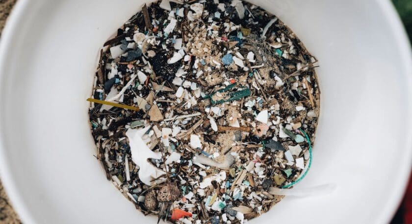 A white container filled with a mixture of small debris, including tiny plastic fragments, sand, dirt, and bits of organic material like twigs. The debris is varied in color, with pieces in white, black, blue, green, and red scattered throughout.